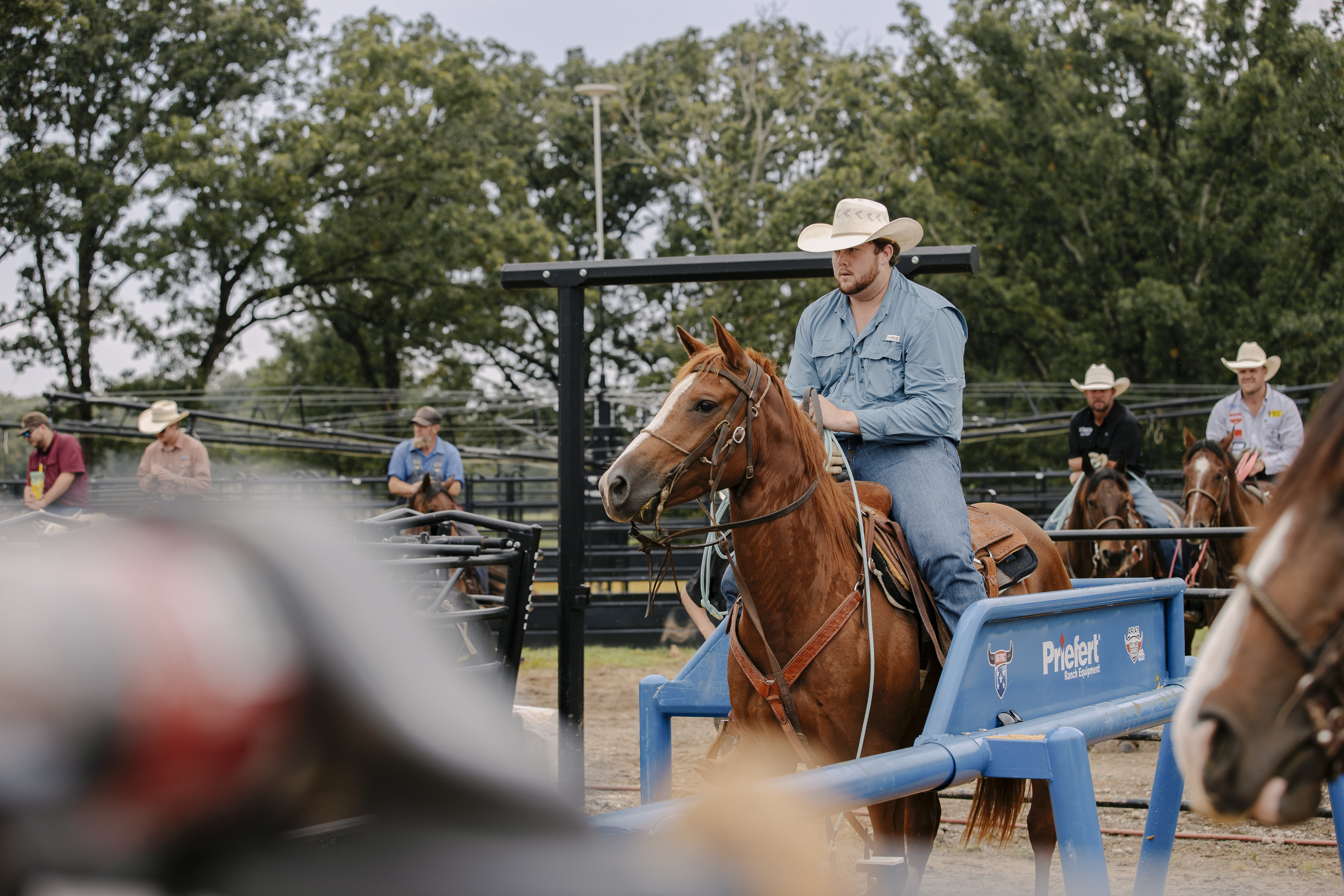 Priefert Roping Boxes PRO 42.JPG